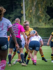 p1504404.jpg - JPEG - 784.1 ko - 2000×2664 px