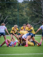 p1504412.jpg - JPEG - 825.9 ko - 2000×2664 px