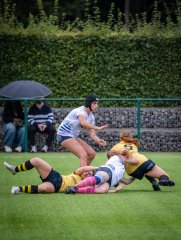 p1504446.jpg - JPEG - 823.7 ko - 2000×2664 px