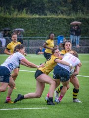 p1504547.jpg - JPEG - 926.7 ko - 2000×2664 px