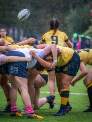 p1504581.jpg - JPEG - 806.8 ko - 2000×2665 px