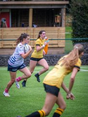 p1504663.jpg - JPEG - 676.5 ko - 2000×2665 px