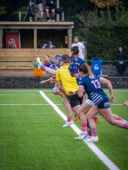 p1504753.jpg - JPEG - 812.7 ko - 2000×2664 px