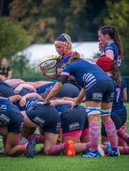 p1504974.jpg - JPEG - 839 ko - 2000×2664 px