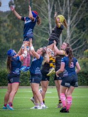 p1504995.jpg - JPEG - 816.4 ko - 2000×2664 px