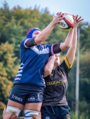 p1515274.jpg - JPEG - 659.5 ko - 2000×2664 px