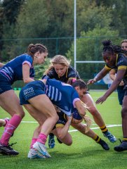 p1515327.jpg - JPEG - 889.6 ko - 2000×2665 px