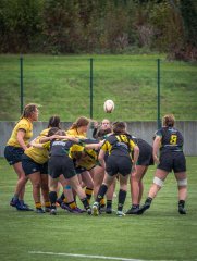 p1516456.jpg - JPEG - 815.5 ko - 2000×2664 px