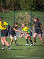 p1526695.jpg - JPEG - 738.1 ko - 2000×2664 px