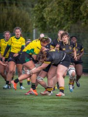 p1527174.jpg - JPEG - 730.8 ko - 2000×2665 px