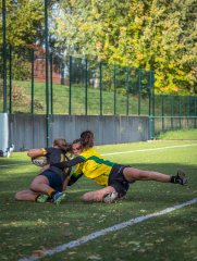 p1527385.jpg - JPEG - 904.8 ko - 2000×2664 px