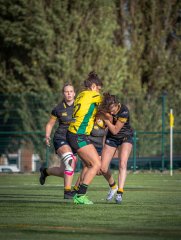 p1527434.jpg - JPEG - 649.9 ko - 2000×2664 px