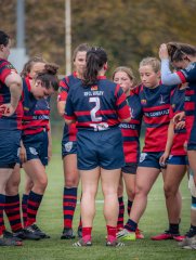 p1539810.jpg - JPEG - 775.9 ko - 2000×2664 px