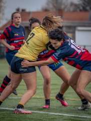 p1539831.jpg - JPEG - 608.1 ko - 2000×2664 px