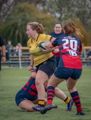 p1539941.jpg - JPEG - 566.3 ko - 2000×2664 px