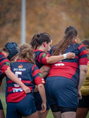 p1539996.jpg - JPEG - 733.9 ko - 2000×2664 px