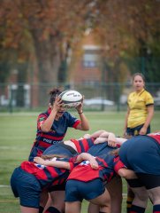 p1540065.jpg - JPEG - 525.4 ko - 2000×2664 px