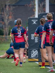 p1540195.jpg - JPEG - 634.7 ko - 2000×2664 px