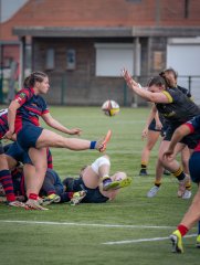 p1540238.jpg - JPEG - 547.6 ko - 2000×2664 px