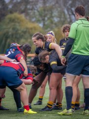 p1540411.jpg - JPEG - 671.5 ko - 2000×2664 px