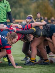 p1540424.jpg - JPEG - 683.5 ko - 2000×2664 px