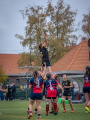 p1540481.jpg - JPEG - 789.1 ko - 2000×2664 px