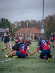 p1540505.jpg - JPEG - 731.7 ko - 2000×2664 px