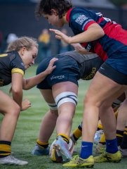 p1540714.jpg - JPEG - 616.5 ko - 2000×2664 px