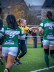 p1563479.jpg - JPEG - 640.3 ko - 2000×2664 px