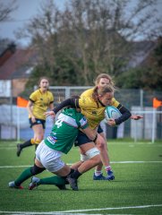 p1563506.jpg - JPEG - 738.5 ko - 2000×2664 px