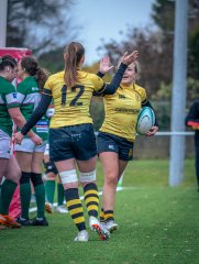 p1563609.jpg - JPEG - 805.5 ko - 2000×2664 px