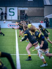 p1564251.jpg - JPEG - 788.4 ko - 2000×2664 px