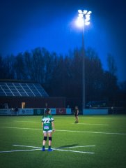 p1564383.jpg - JPEG - 662.6 ko - 2000×2664 px