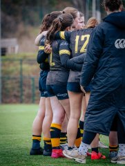 p1574910.jpg - JPEG - 771.8 ko - 2000×2664 px