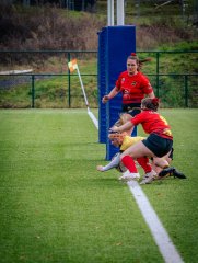 p1575698.jpg - JPEG - 1 Mo - 2000×2664 px