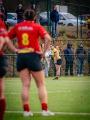 p1575771.jpg - JPEG - 887.6 ko - 2000×2664 px