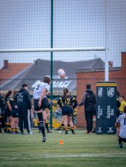 p1586197.jpg - JPEG - 665.6 ko - 2000×2664 px