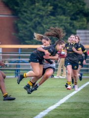 p1586432.jpg - JPEG - 814.7 ko - 2000×2664 px