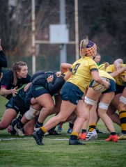 p1586563.jpg - JPEG - 690.9 ko - 2000×2664 px