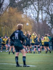 p1586677.jpg - JPEG - 864.5 ko - 2000×2664 px