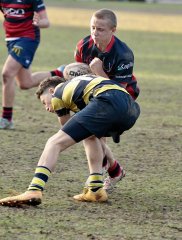 gp5f6058.jpg - JPEG - 739.2 ko - 2000×2646 px