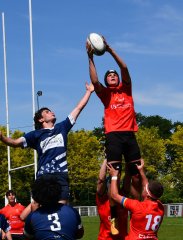 dsc_8142-4.jpg - JPEG - 263.2 ko - 2000×1325 px