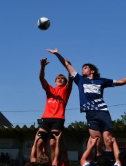 dsc_8206-2.jpg - JPEG - 283.8 ko - 1500×1976 px