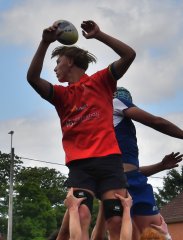 dsc_9075.jpg - JPEG - 441.2 ko - 2000×2636 px