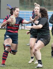 gp5f9251.jpg - JPEG - 794 ko - 2000×2590 px