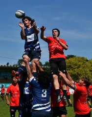 dsc_8011-3.jpg - JPEG - 90.5 ko - 1000×667 px