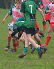 dsc_0882-5.jpg - JPEG - 188.2 ko - 2000×1333 px