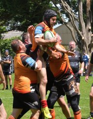 dsc_9802.jpg - JPEG - 255.8 ko - 2000×1325 px