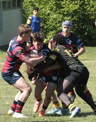 gp5f2617.jpg - JPEG - 718.6 ko - 2000×2527 px