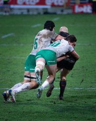 img_6234-2.jpg - JPEG - 1.2 Mo - 2000×2516 px